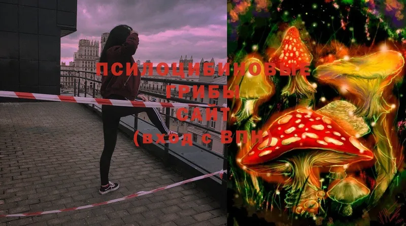 Псилоцибиновые грибы Magic Shrooms  Верхний Тагил 